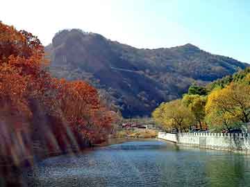 管家婆黑白马报图库，帅客论坛